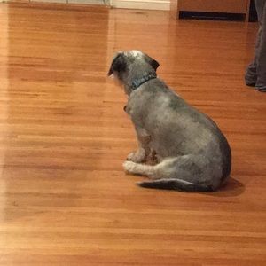 Meet your Posher, Lai kam